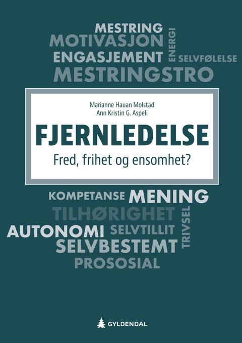 Fjernledelse - fred, frihet og ensomhet?