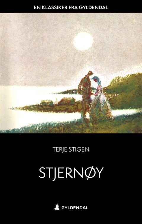 Stjernøy - roman