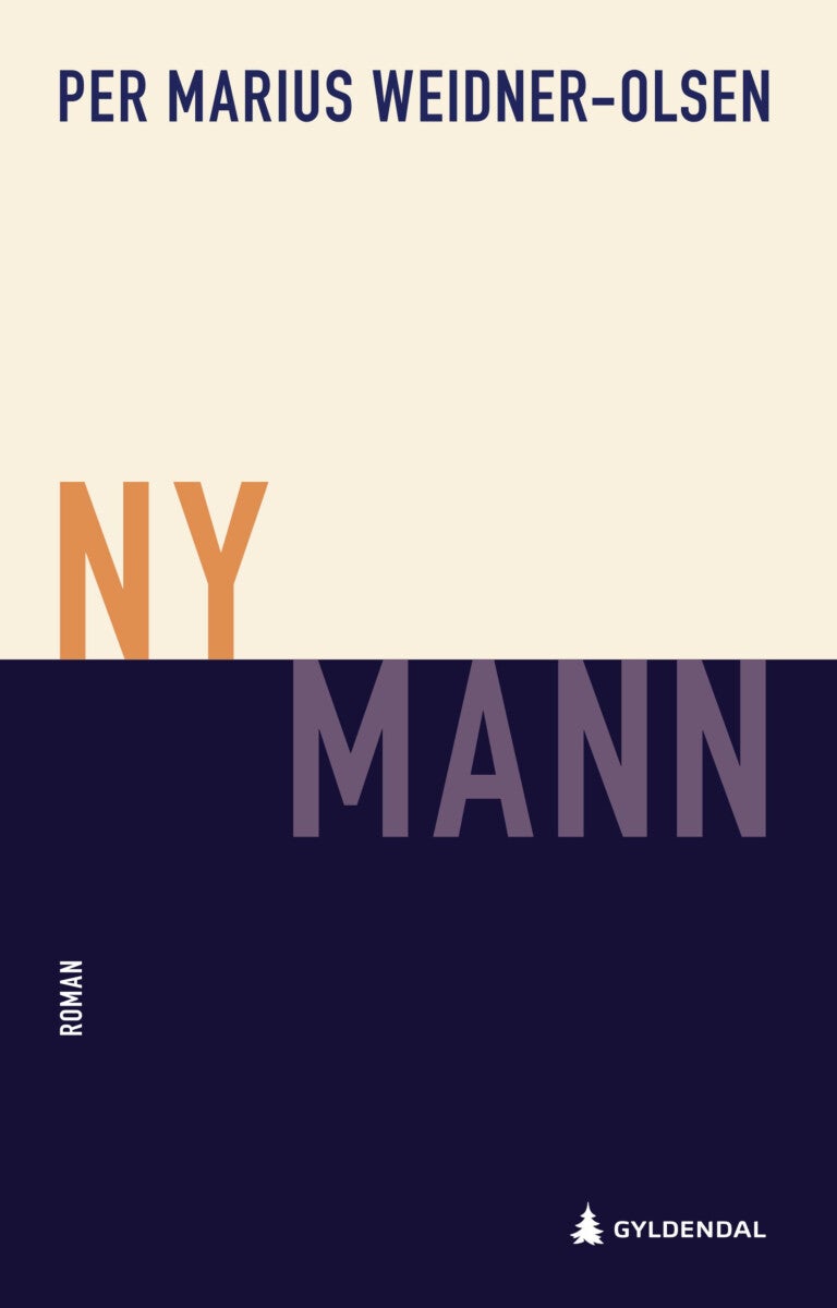 Ny mann - roman