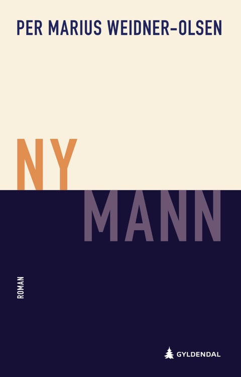 Ny mann - roman