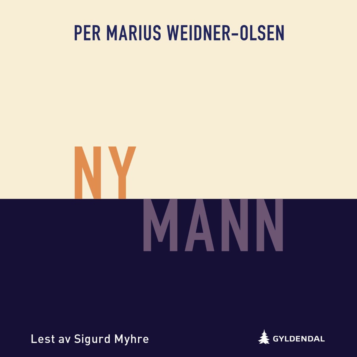 Ny mann - roman