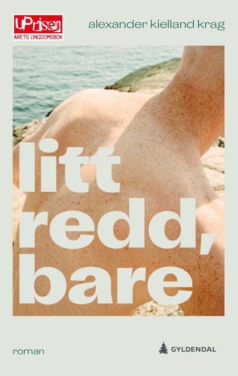 Litt redd, bare - roman