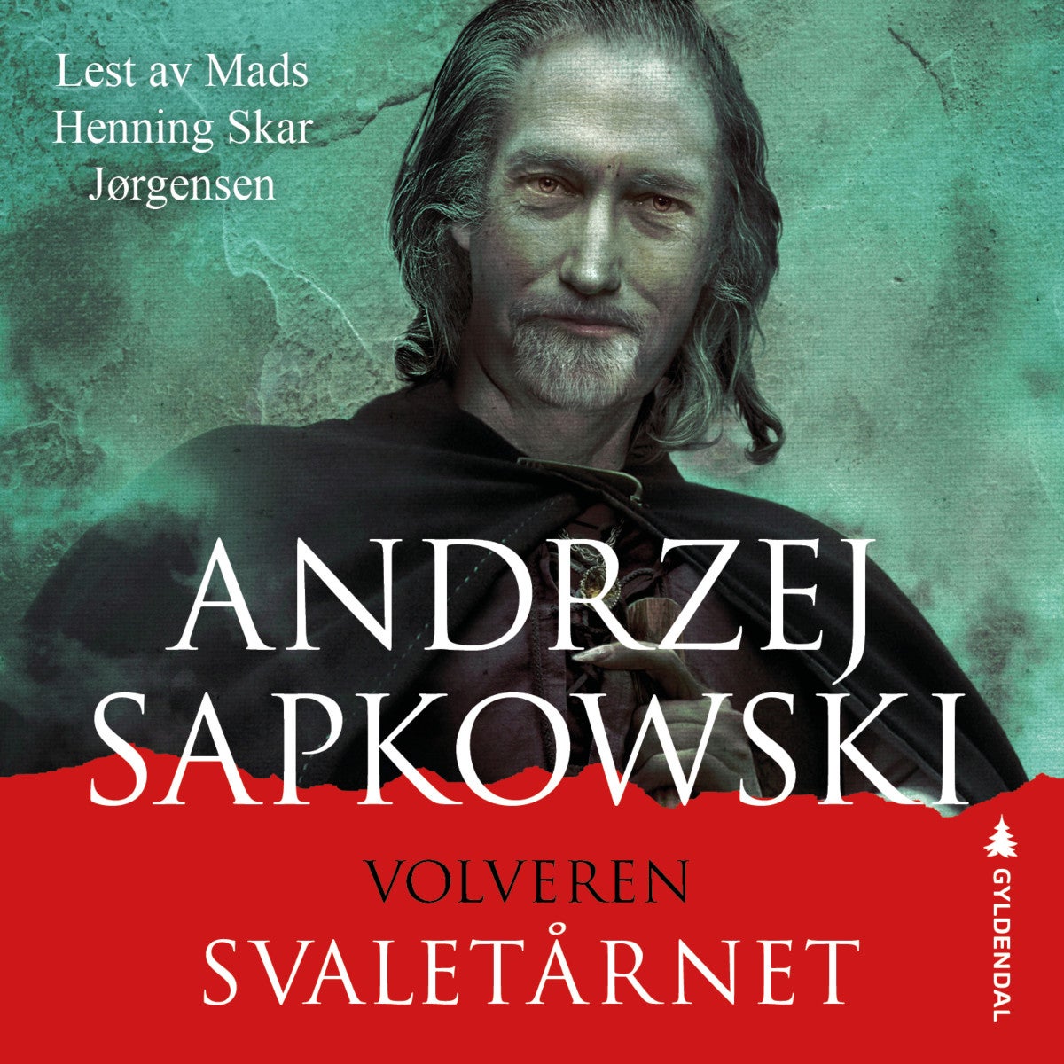 Svaletårnet av Andrzej Sapkowski