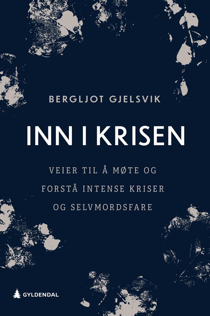 Bilde av Inn I Krisen Av Bergljot Gjelsvik