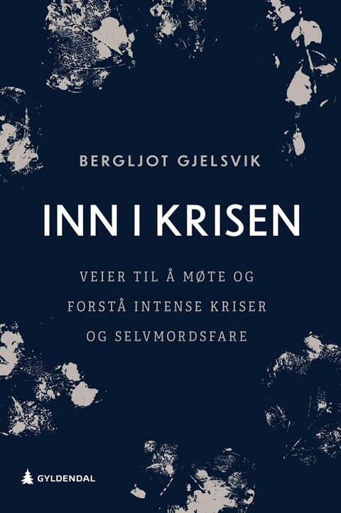 Inn i krisen - veier til å møte og forstå intense kriser og selvmordsfare