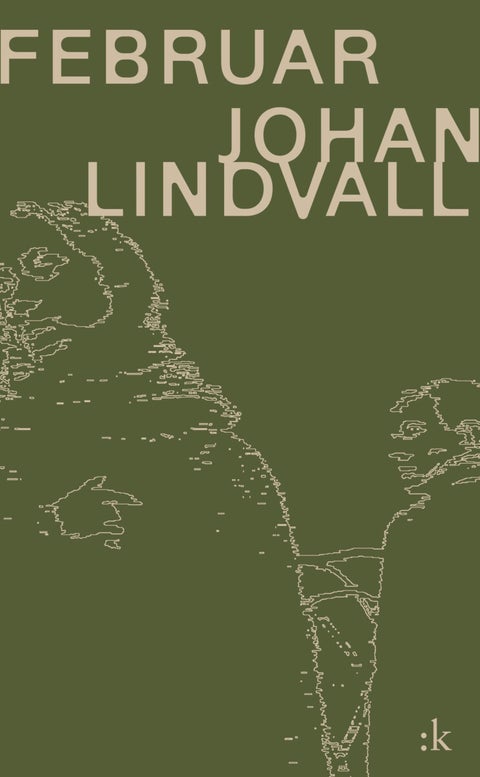 Februar - roman