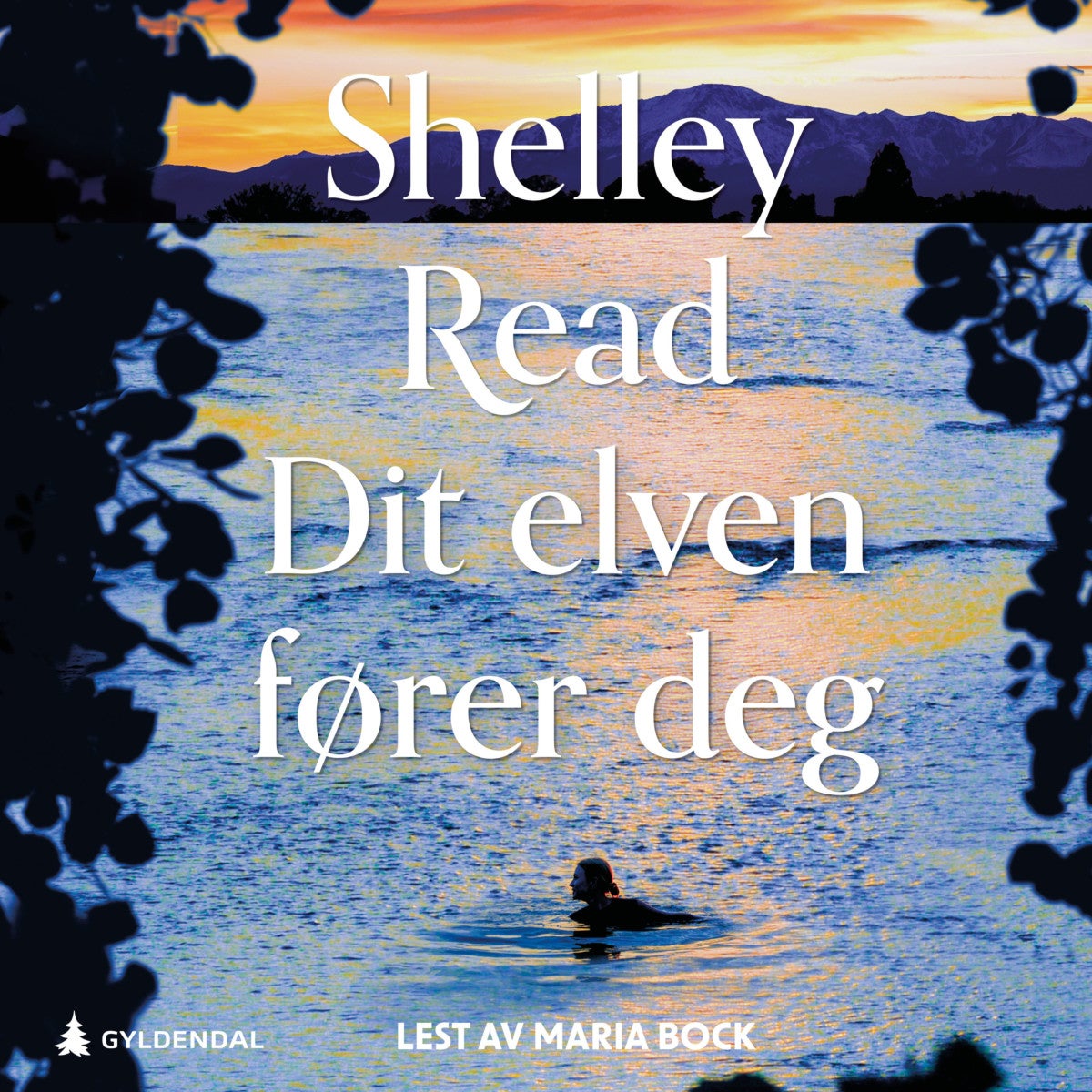 Dit elven fører deg av Shelley Read