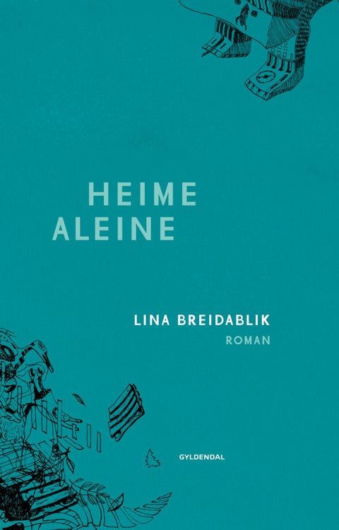 Heime aleine - roman