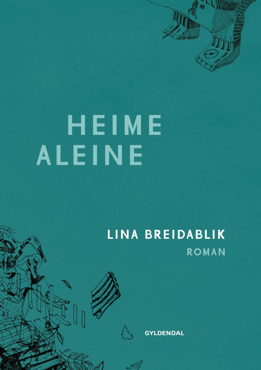 Heime aleine - roman