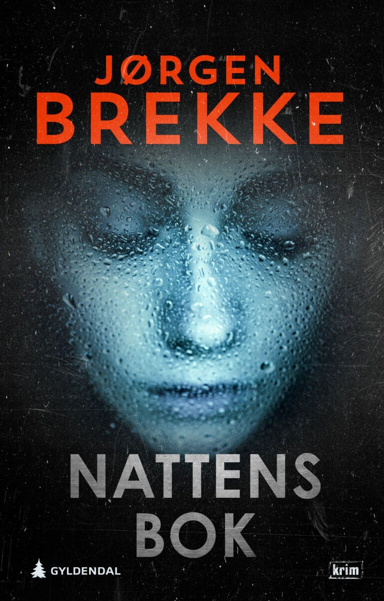 Nattens bok - kriminalroman