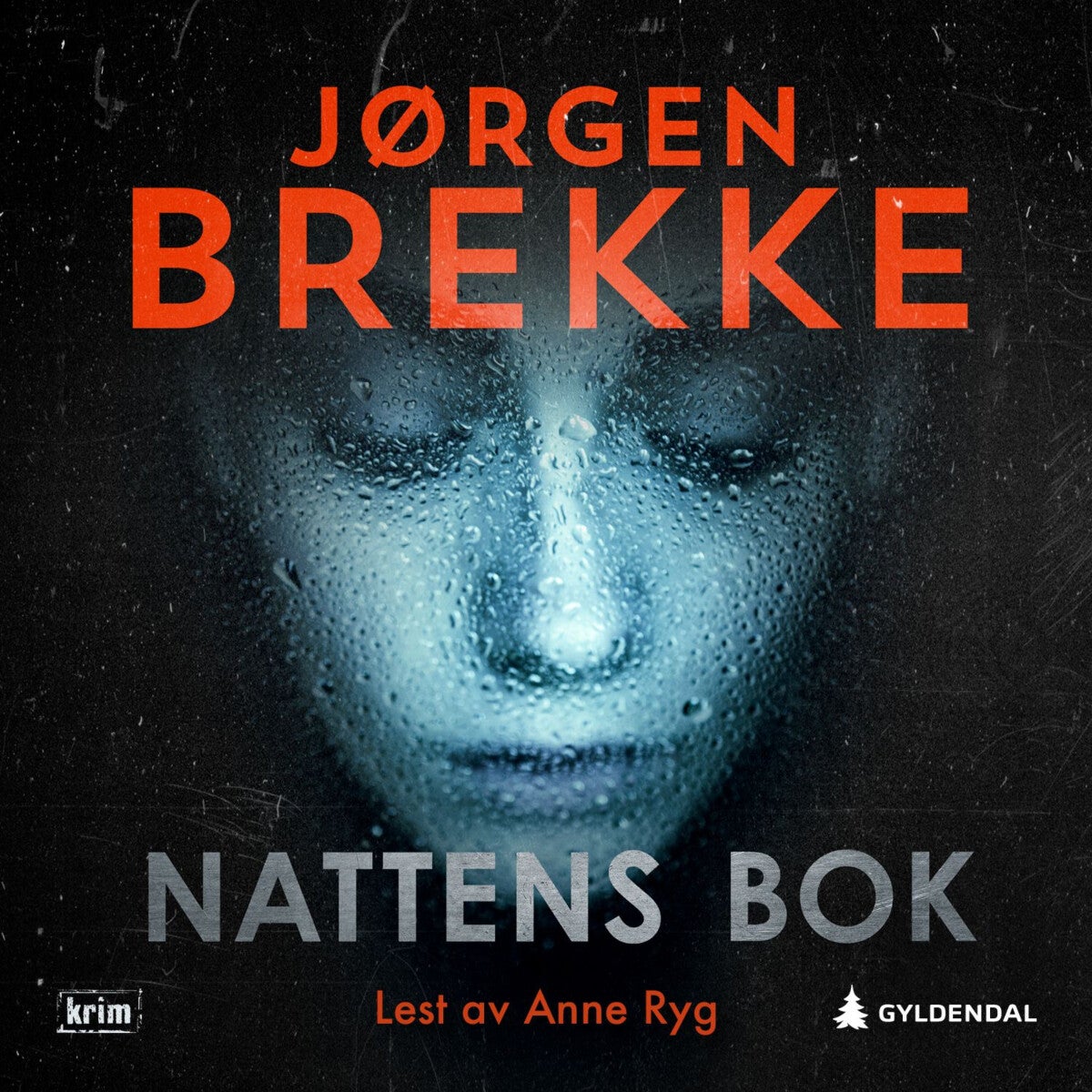 Nattens bok - kriminalroman