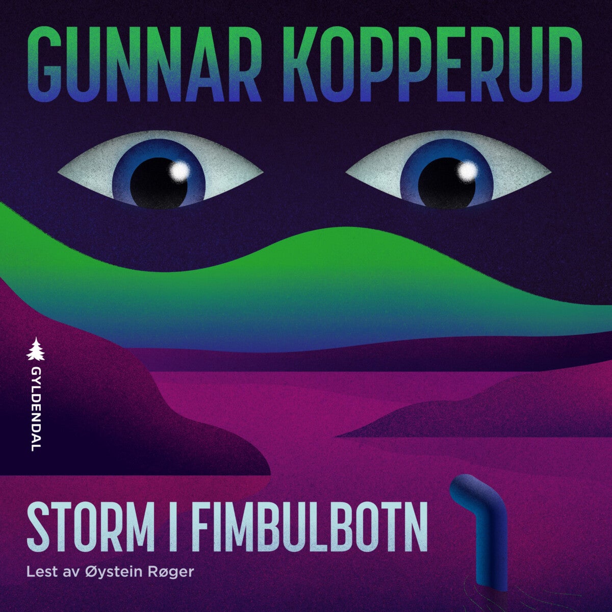 Storm i Fimbulbotn - roman