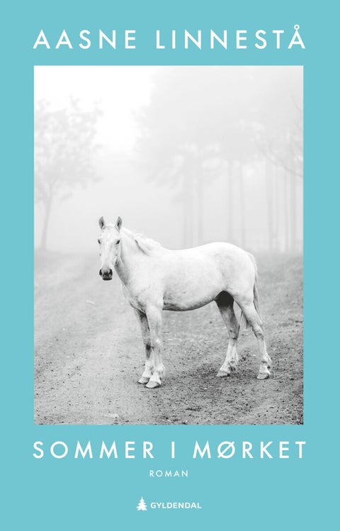 Sommer i mørket - roman