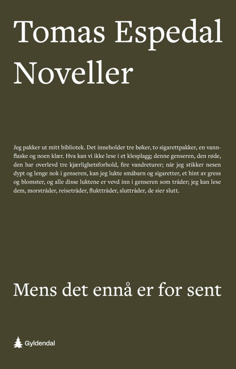 Mens det ennå er for sent - (noveller)
