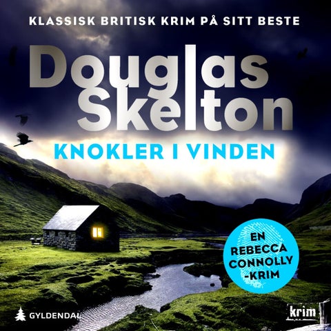 Knokler i vinden - en Rebecca Connolly-thriller