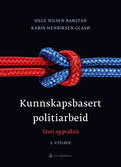 Kunnskapsbasert politiarbeid - teori og praksis