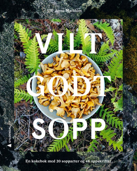 Vilt godt sopp - en kokebok med 20 sopparter og 48 oppskrifter