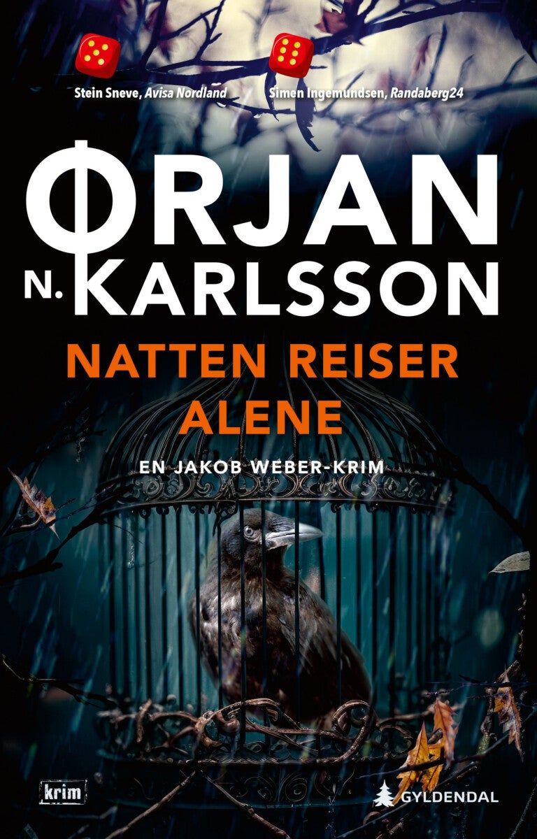 Natten reiser alene - kriminalroman