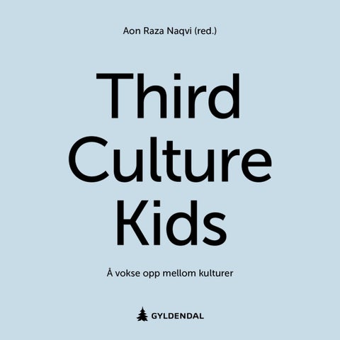 Third culture kids - å vokse opp mellom kulturer