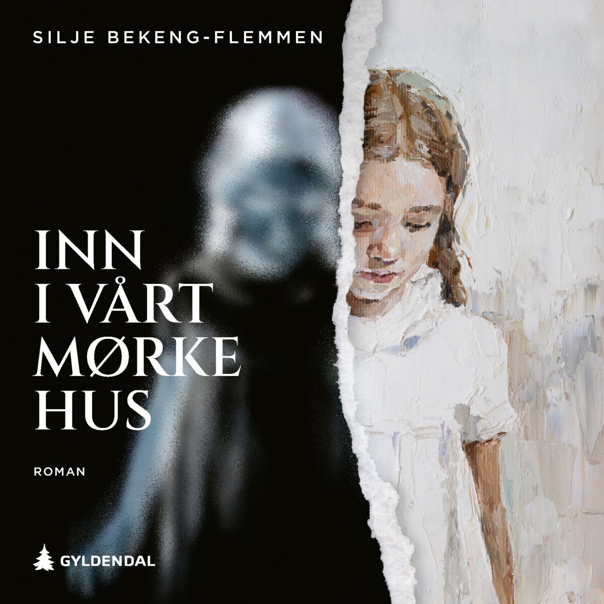 Inn i vårt mørke hus - roman