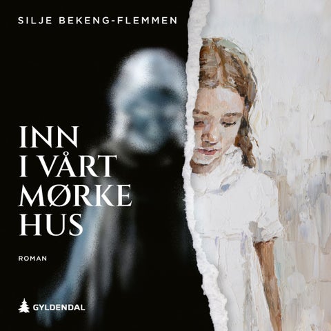 Inn i vårt mørke hus - roman