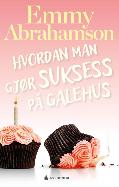 Hvordan man gjør suksess på galehus - roman