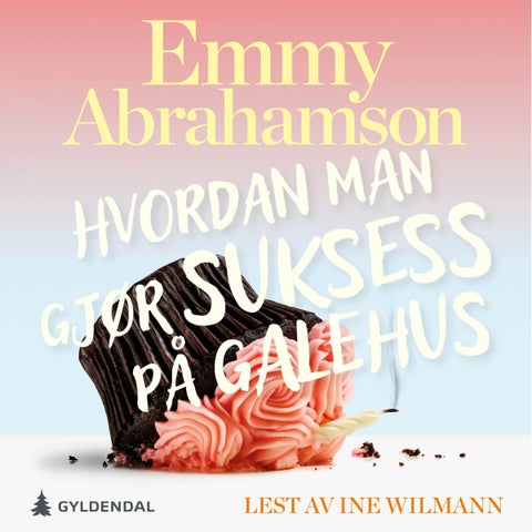 Hvordan man gjør suksess på et galehus - roman