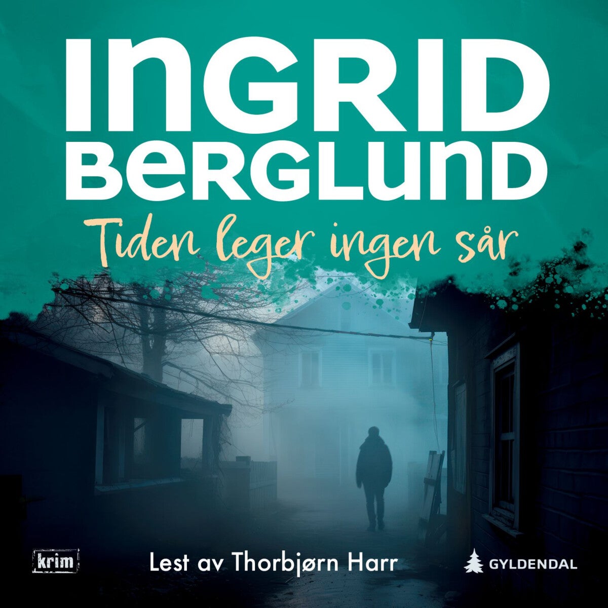 Bilde av Tiden Leger Ingen Sår Av Ingrid Berglund