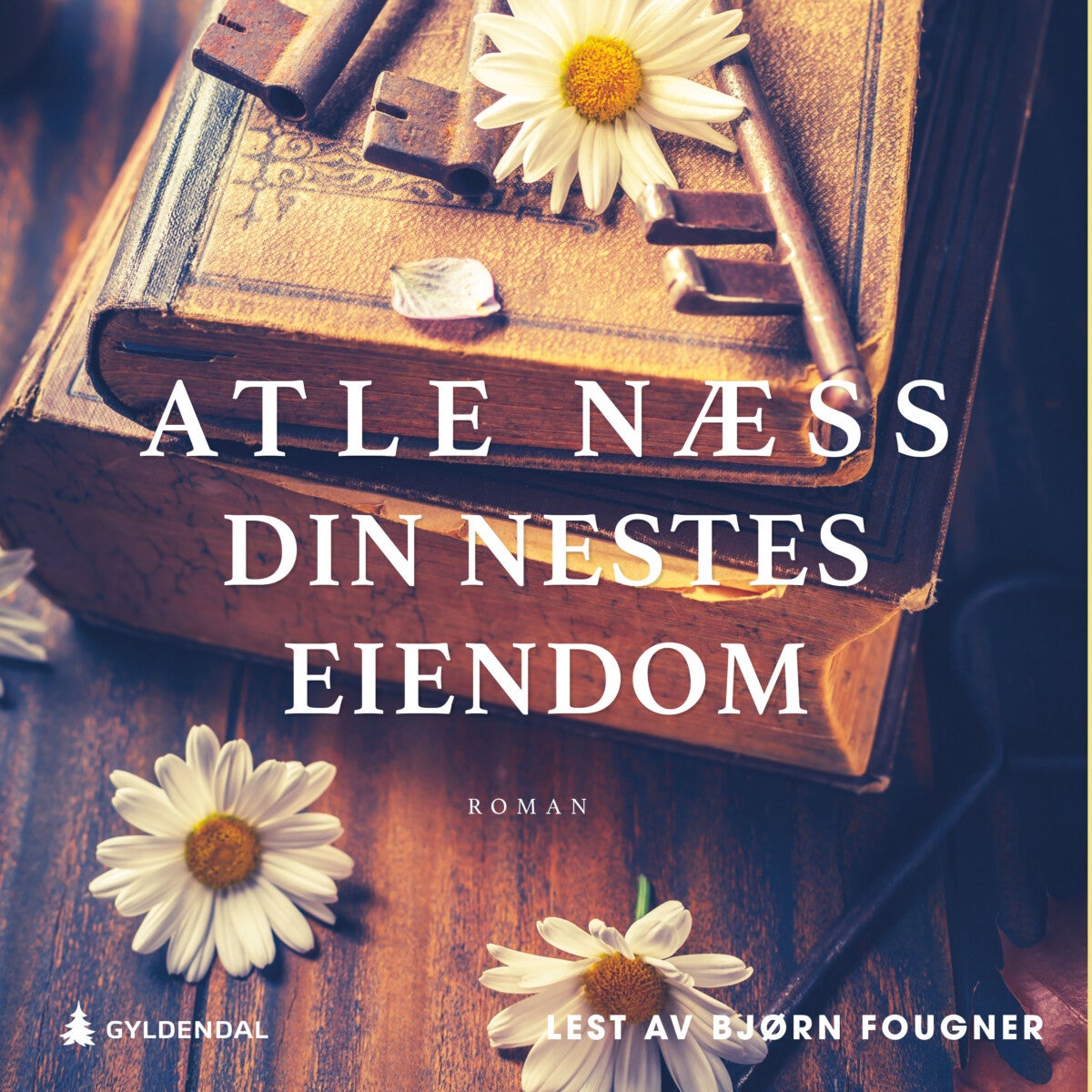 Din nestes eiendom