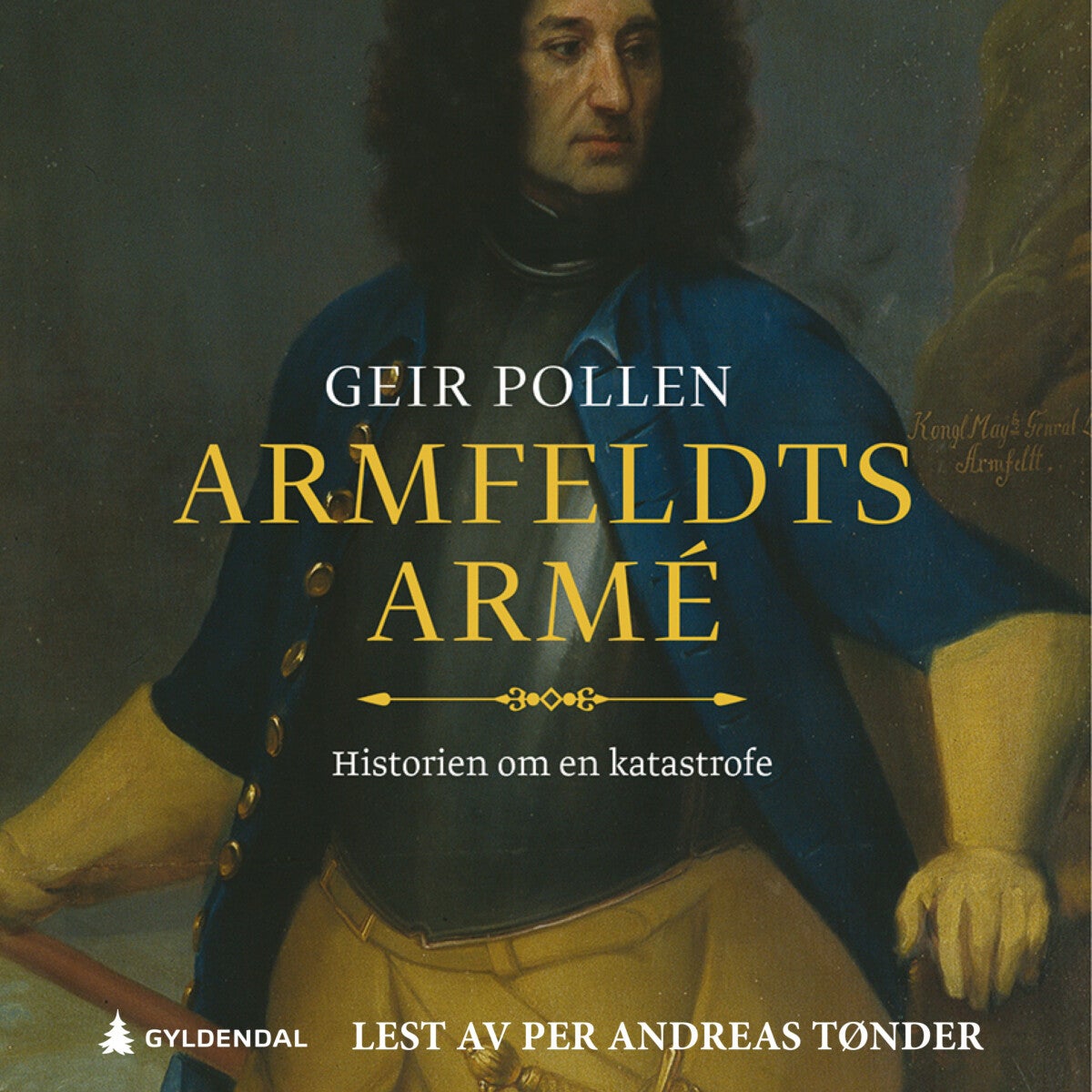Armfeldts armé av Geir Pollen