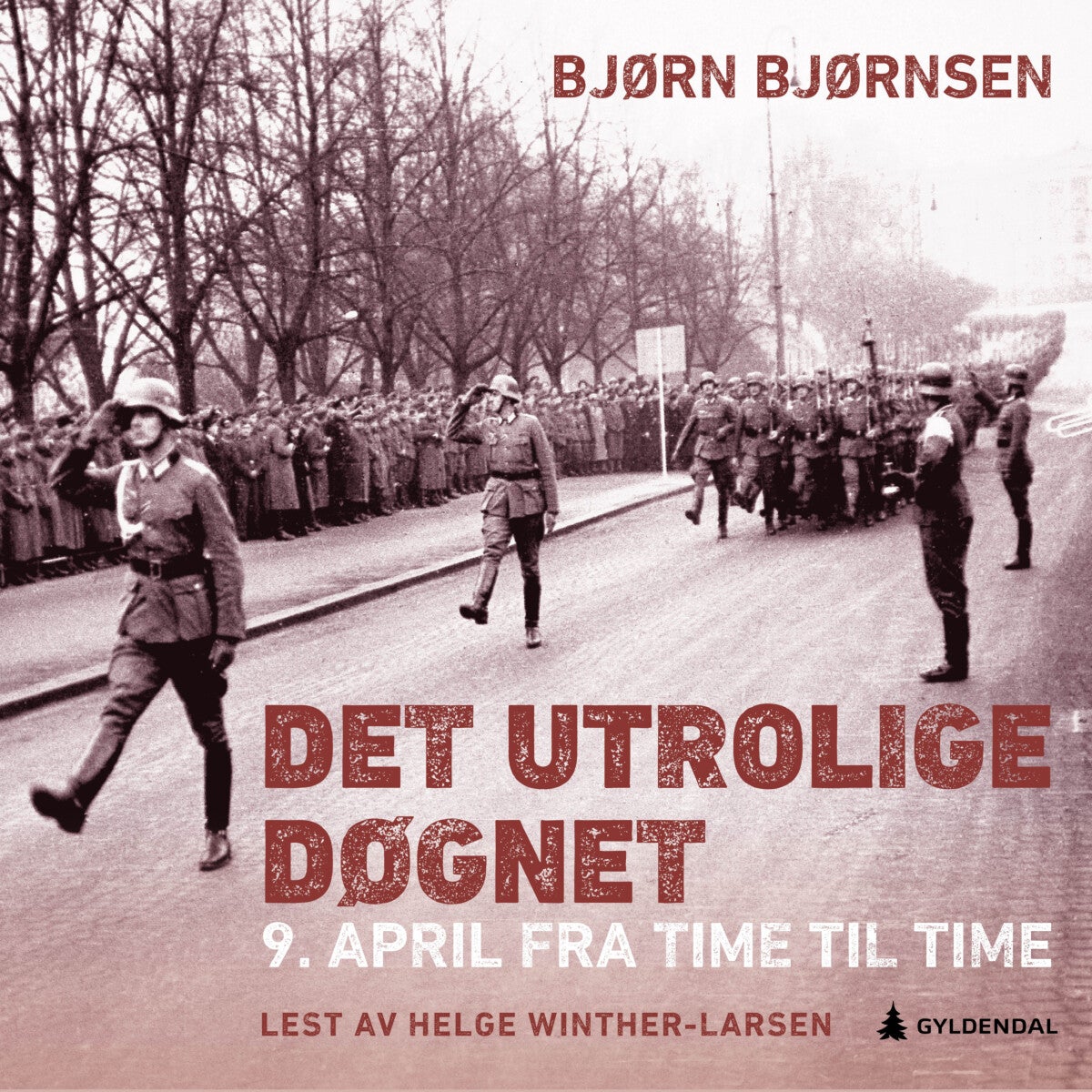 Bilde av Det Utrolige Døgnet Av Bjørn Bjørnsen