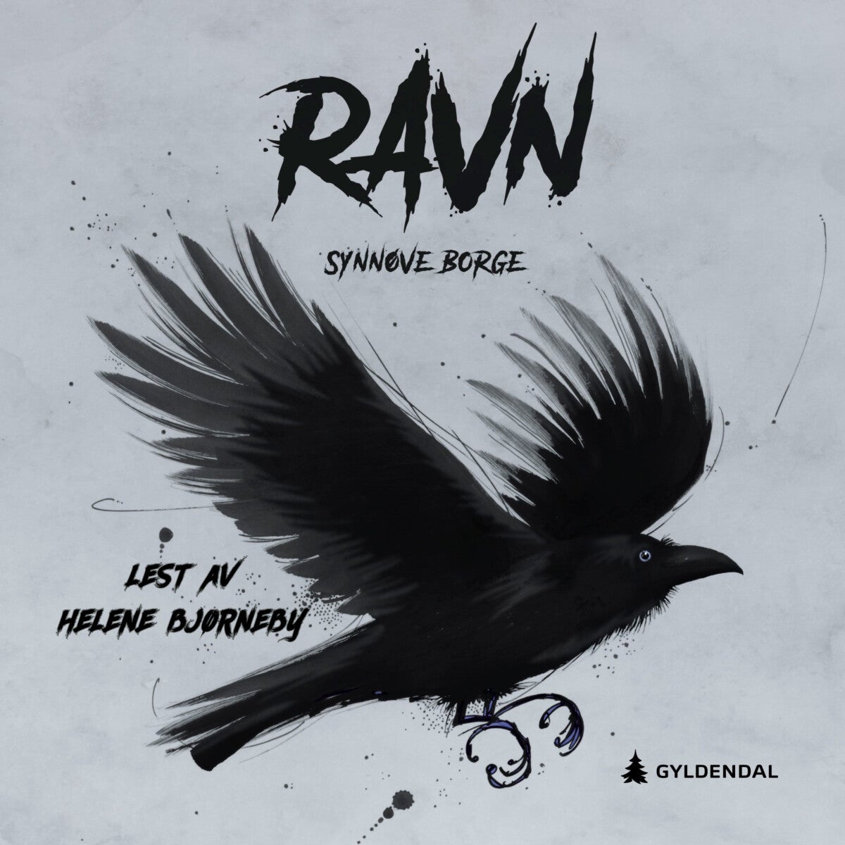 Ravn - corvus corvax
