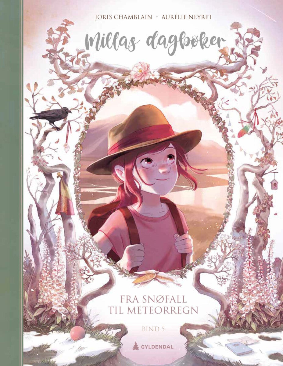 Fra snøfall til meteorregn