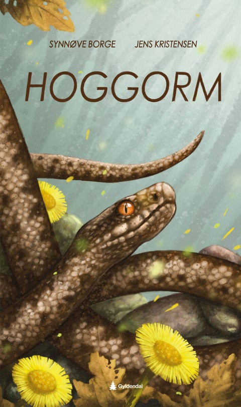 Hoggorm - vipera berus