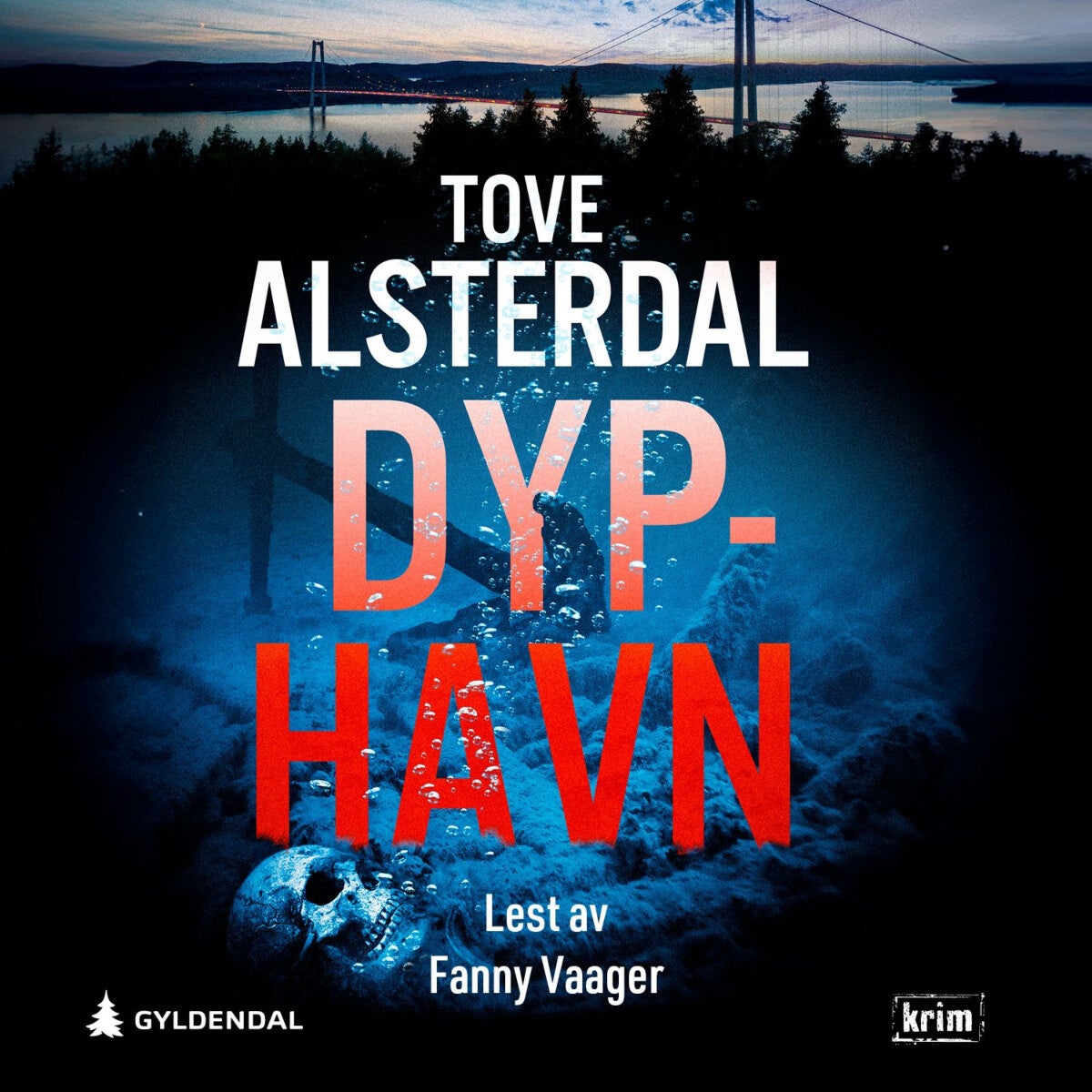 book cover thumbnail