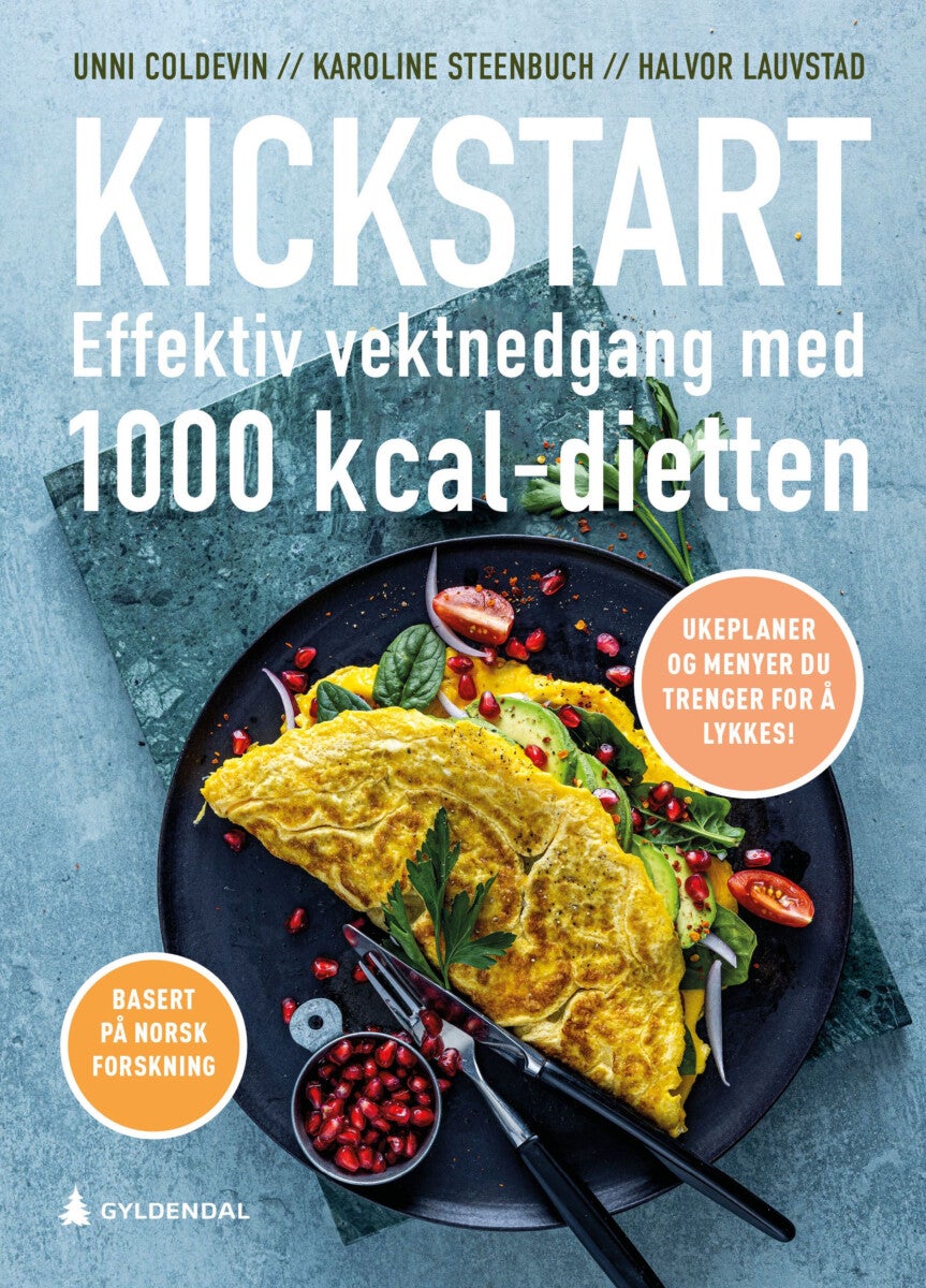 Bilde av Kickstart Av Unni Vada Coldevin, Halvor Lauvstad, Karoline Steenbuch