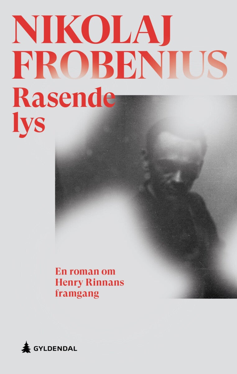 Rasende lys - en roman om Henry Rinnans framgang