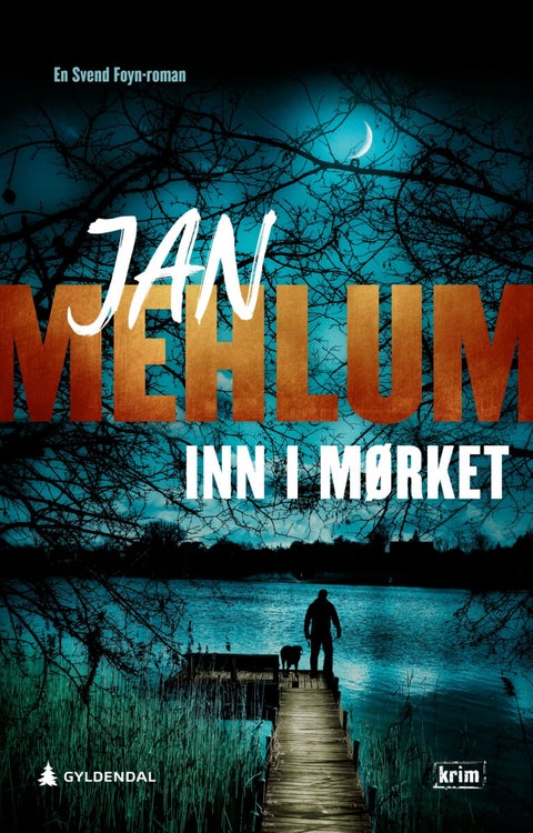 Inn i mørket - kriminalroman