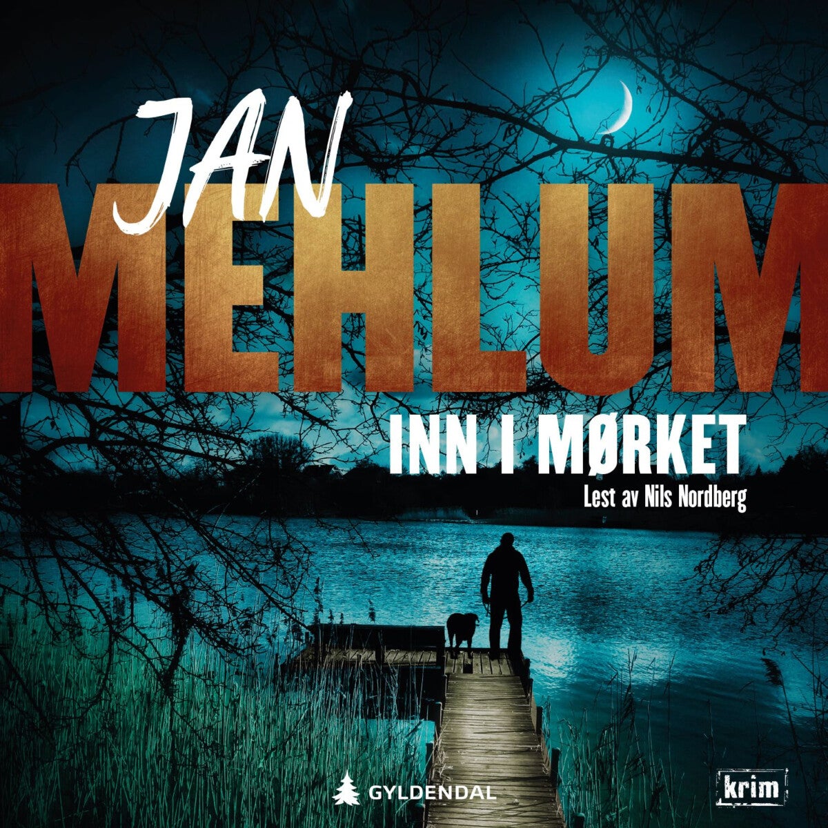 book cover thumbnail