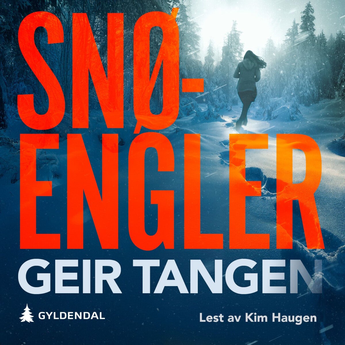 Snøengler - kriminalroman