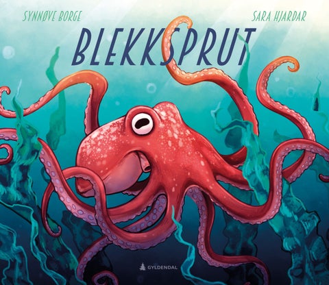 Blekksprut - eledone cirrhosa