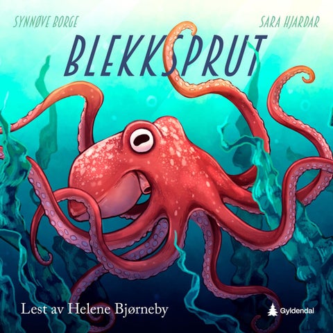 Blekksprut - eledone cirrhosa