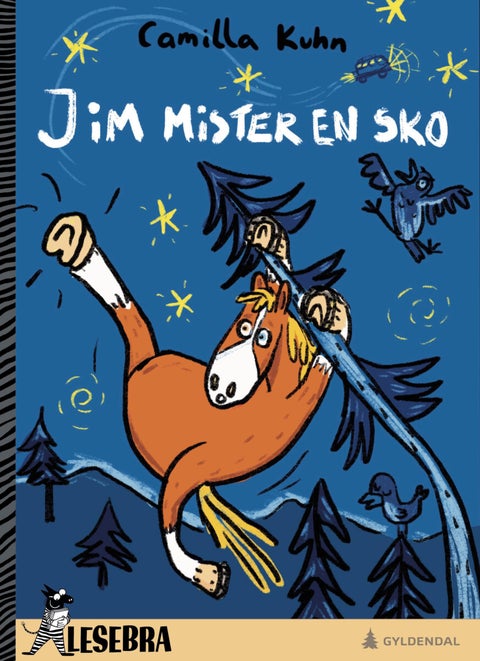 Jim mister en sko