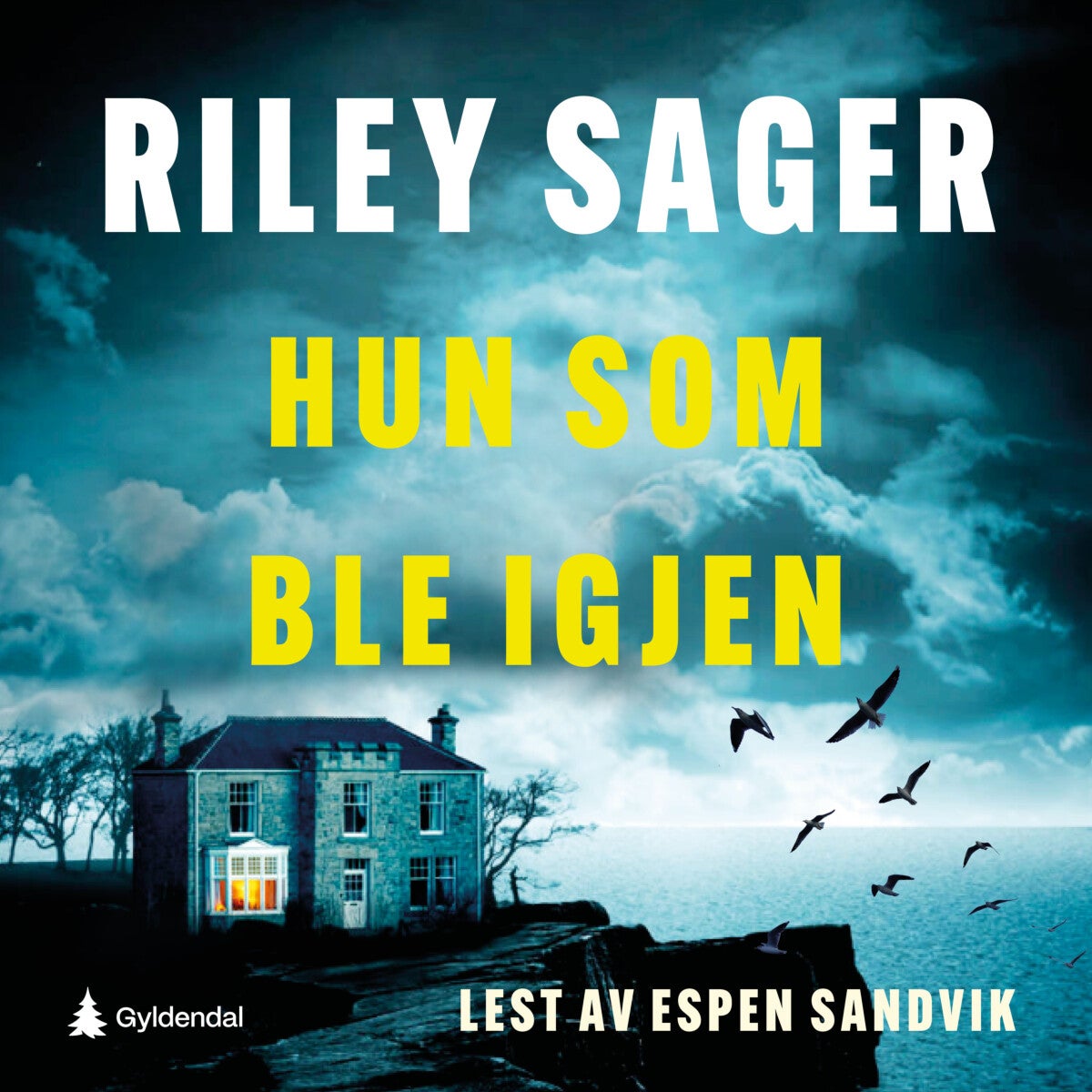 book cover thumbnail