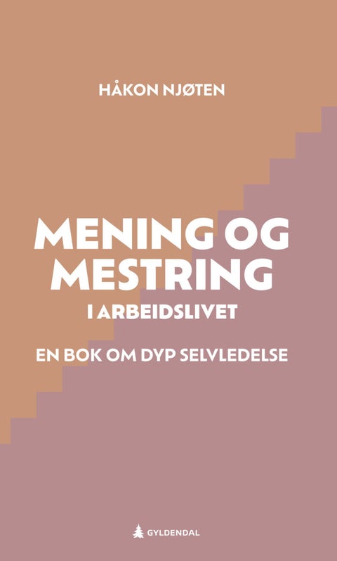 Mening og mestring i arbeidslivet - en bok om dyp selvledelse