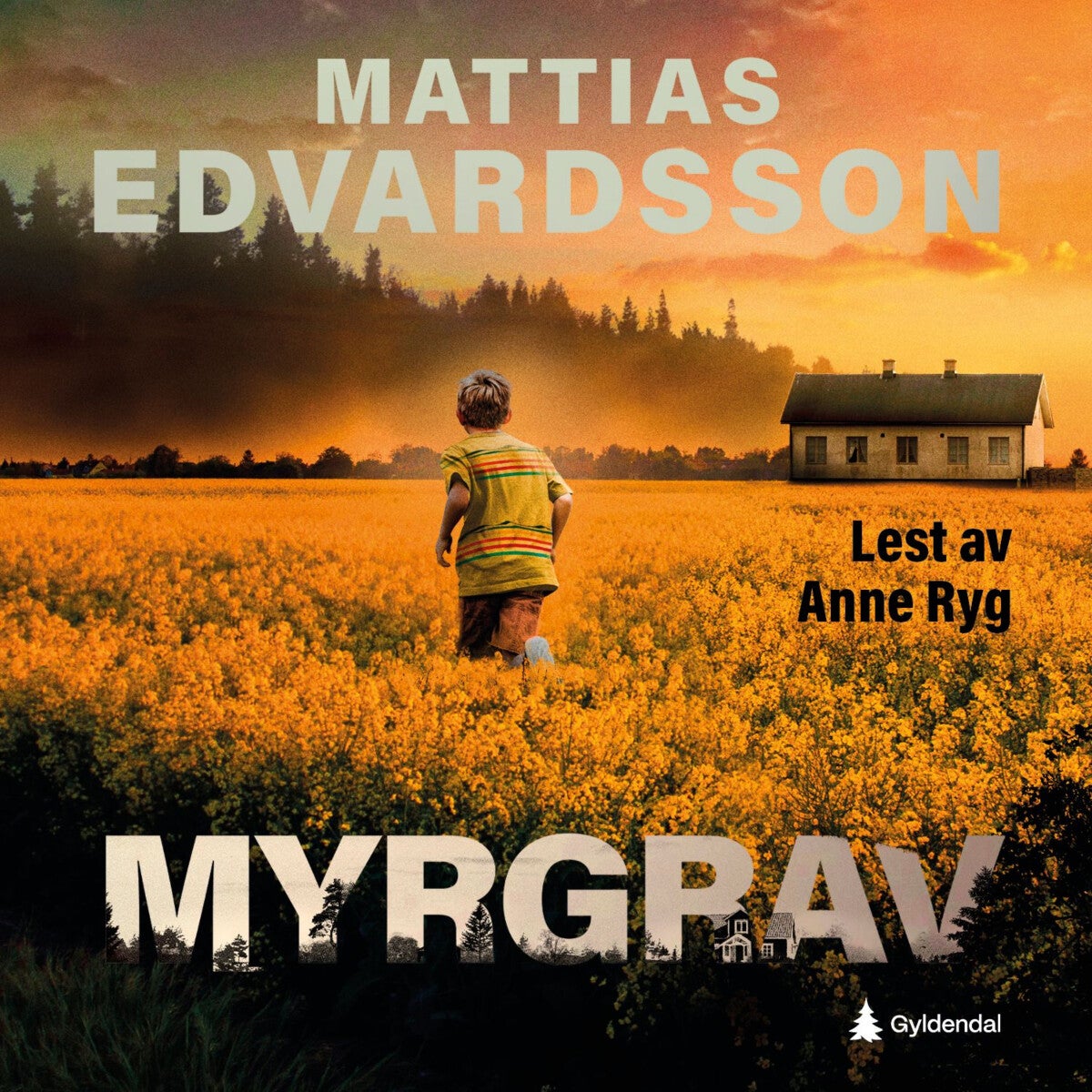 book cover thumbnail