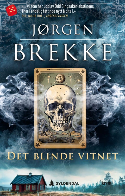 Det blinde vitnet - en Odd Singsaker-krim