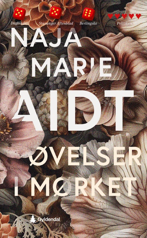 Øvelser i mørket - roman