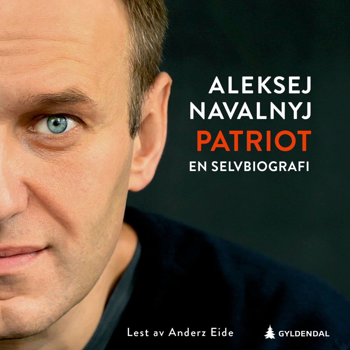 book cover thumbnail