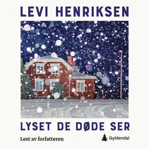 Lyset de døde ser - roman
